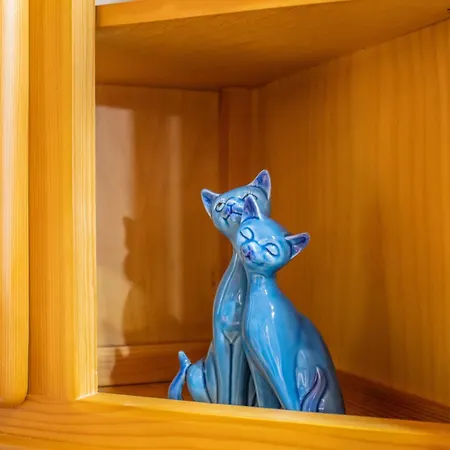 Casa Batlle Boix Appartement